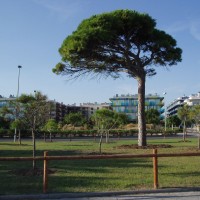 Pobřeží Cambrils-Salou