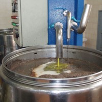 Výroba olivového oleje