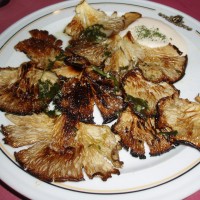 Setas amb alioli (smažené houby s česnekovou omáčkou)