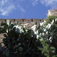 Tortosa - hrad Zuda