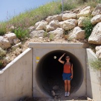 I pod dálnicí vedou turistické značky (žlutá - na kratší vzdálenosti)