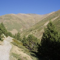 Pyreneje