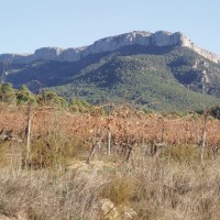 Mola de Colldejou, foceno od Marçà