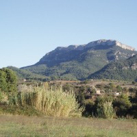 Mola de Colldejou, foceno od Marçà